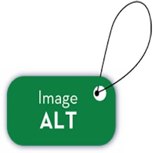 تگ Alt یا متن جایگزین تصویر چیست و چه تأثیری بر روی سئو دارد؟